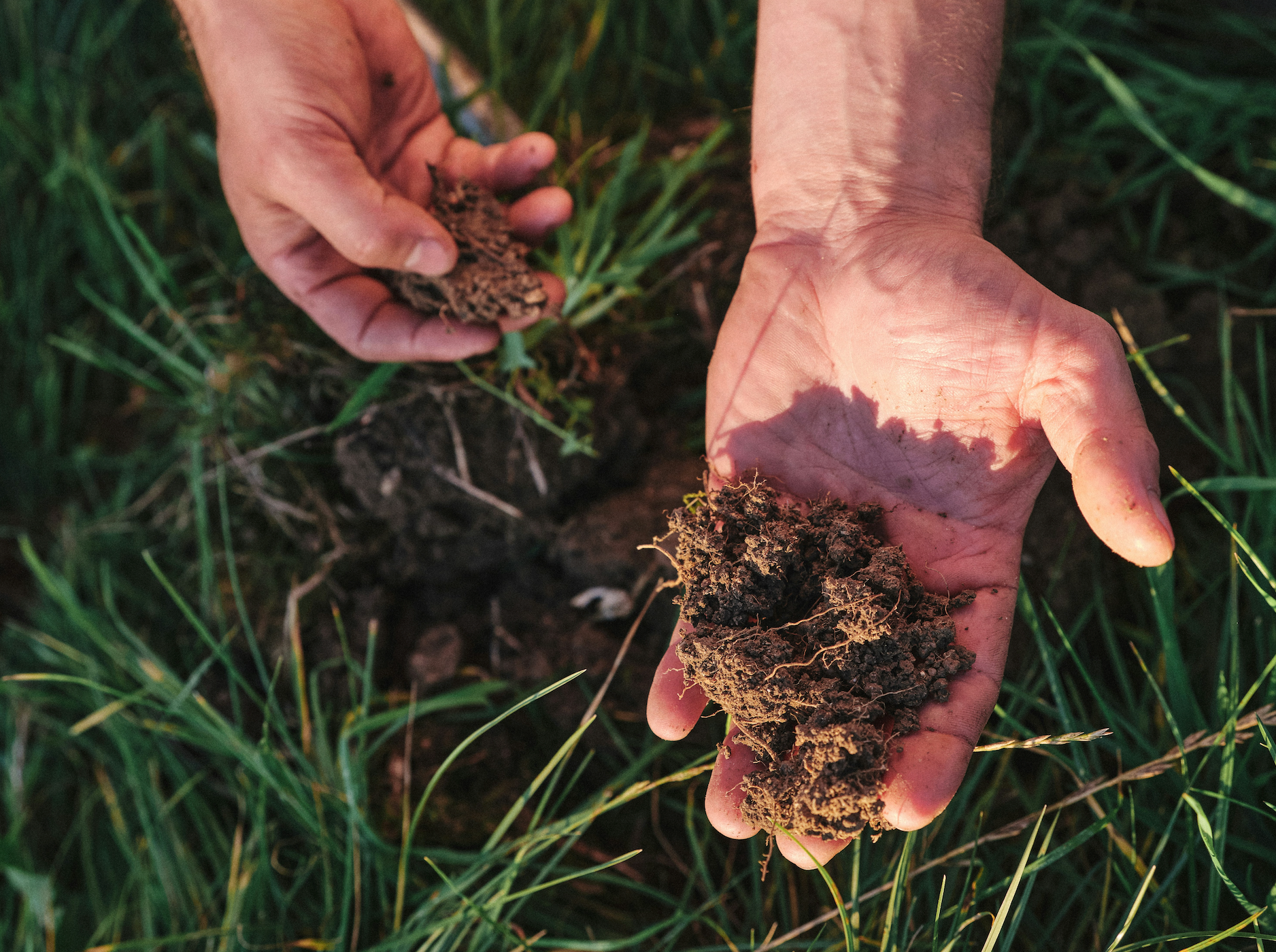 Why Good Soil Matters in Making Good Clothes